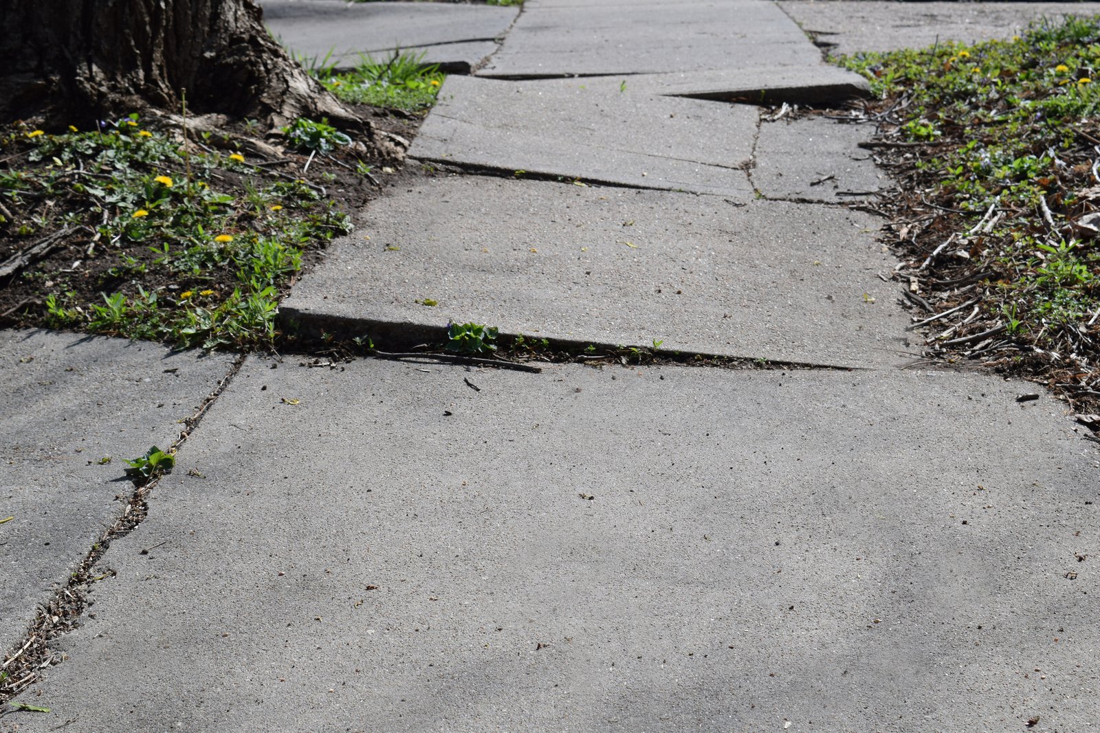 Sidewalk Trouble