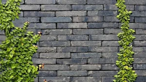Stone wall with horizontal dark gray bricks, ivy vines climbing on both sides.
