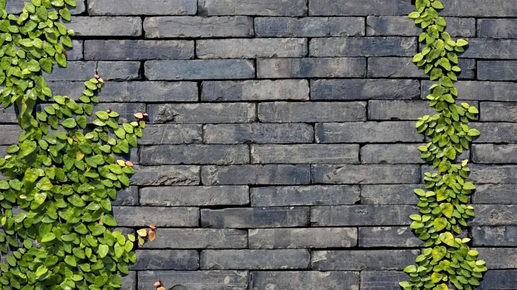 Stone wall with horizontal dark gray bricks, ivy vines climbing on both sides.